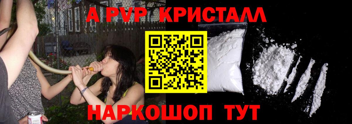 A PVP СК Воркута