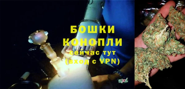 сатива Беломорск