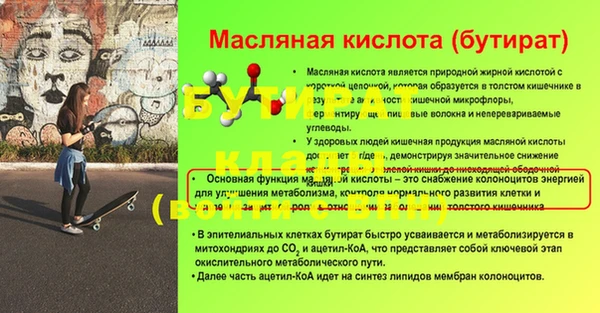 сатива Беломорск