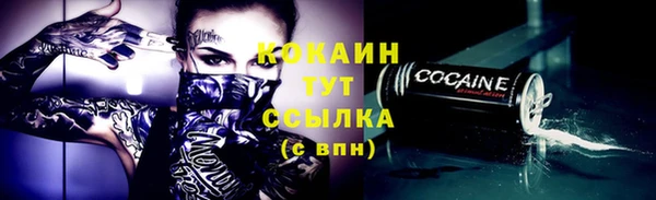 сатива Беломорск