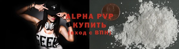 сатива Беломорск