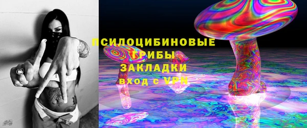 марки nbome Белокуриха