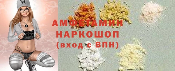 сатива Беломорск