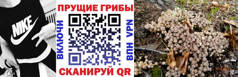MEGA ONION  дарнет шоп  Воркута  Псилоцибиновые грибы GOLDEN TEACHER 